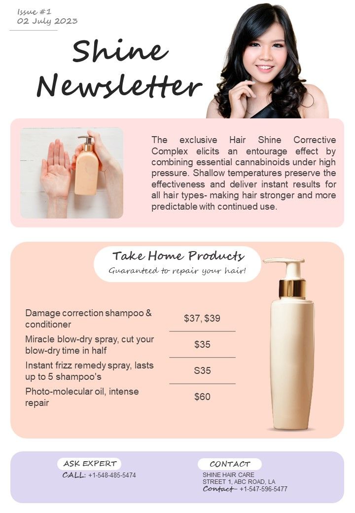 One_Pager_Newsletter_For_Hair_Styling_Business_Products_PDF_Document_PPT_Template_Slide_1.jpg