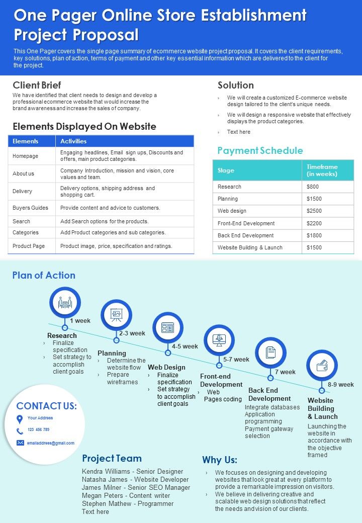 One Pager Online Store Establishment Project Proposal PDF Document PPT Template Slide01