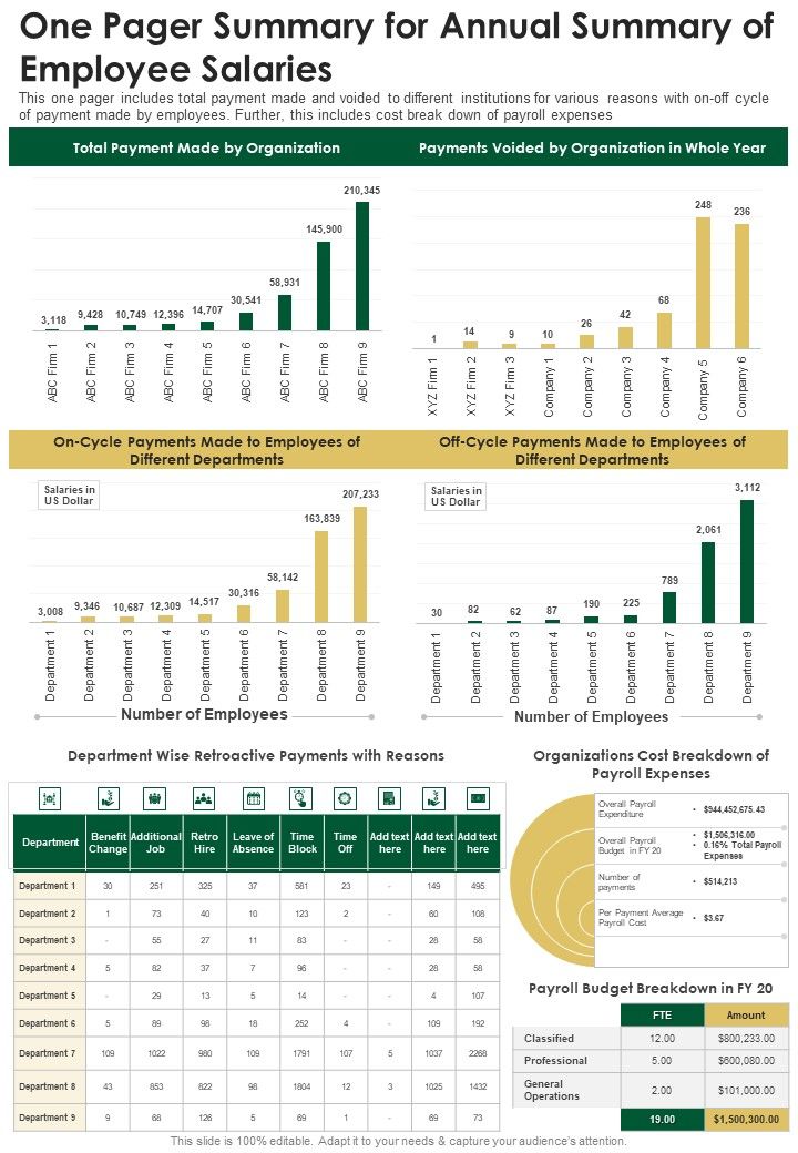 One Pager Summary For Annual Summary Of Employee Salaries One Pager Documents Slide01