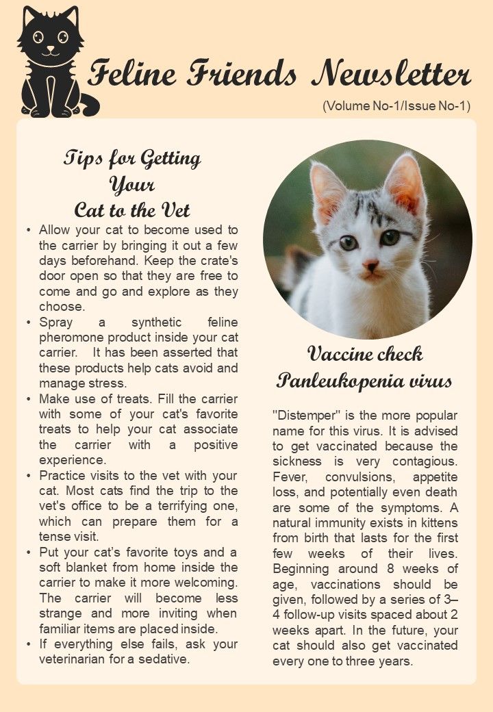 One_Pager_Veterinary_Newsletter_For_Cat_Care_PDF_Document_PPT_Template_Slide_1.jpg
