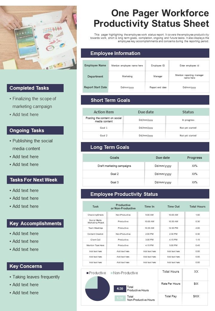 One Pager Workforce Productivity Status Sheet PDF Document PPT Template Slide01