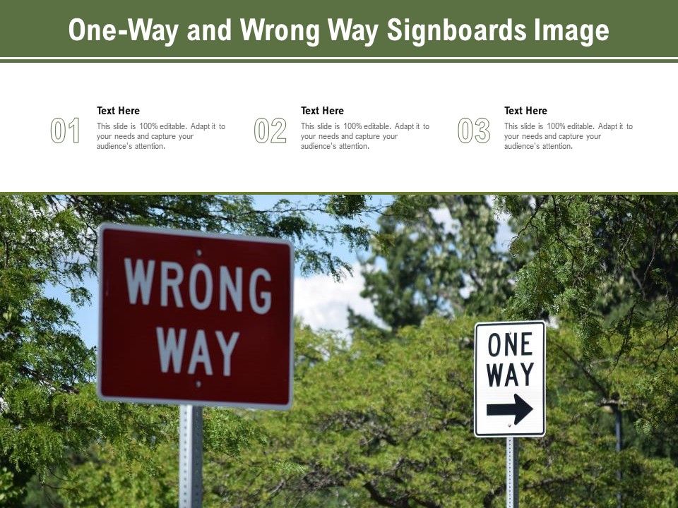 One_Way_And_Wrong_Way_Signboards_Image_Ppt_PowerPoint_Presentation_Gallery_Example_File_PDF_Slide_1.jpg