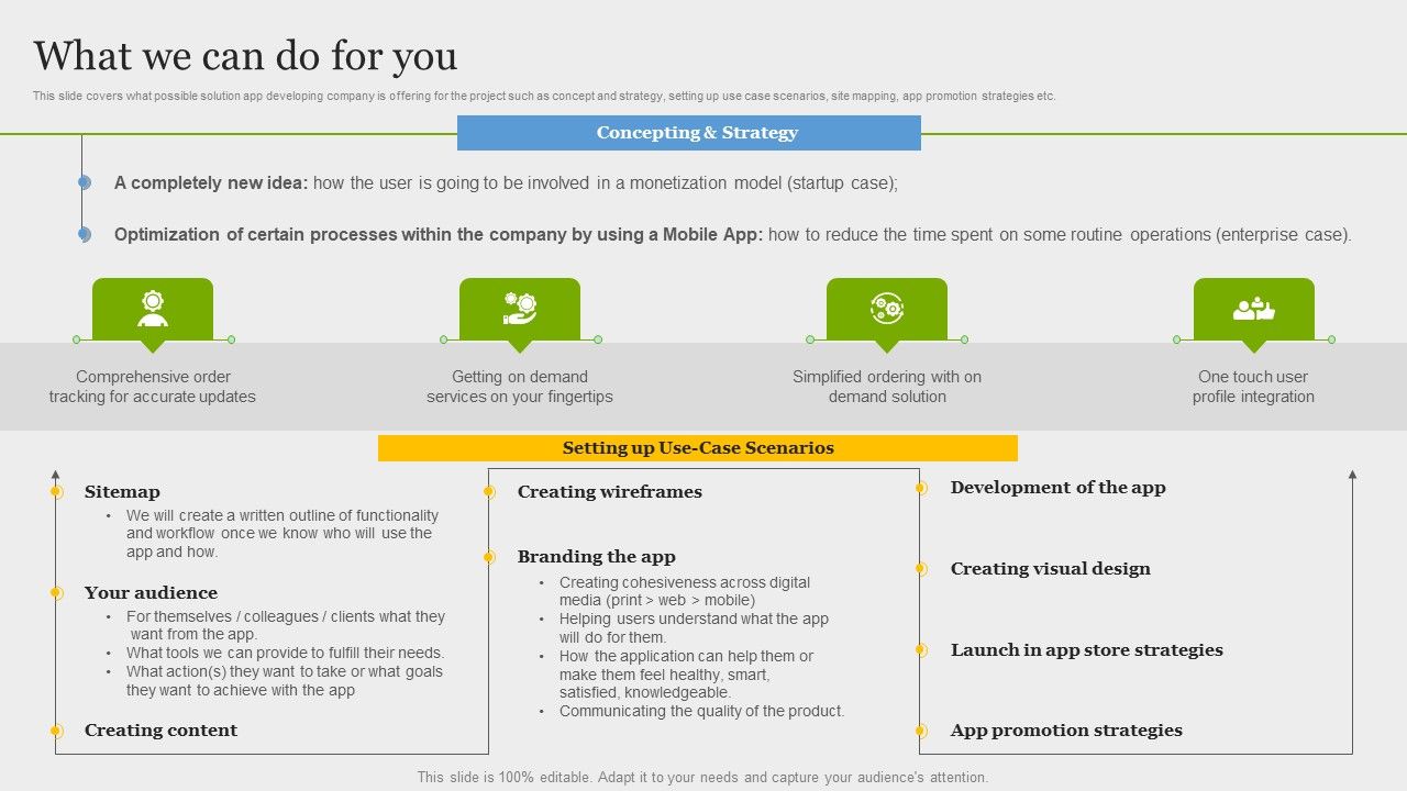 Online_Application_Development_What_We_Can_Do_For_You_Microsoft_PDF_Slide_1.jpg