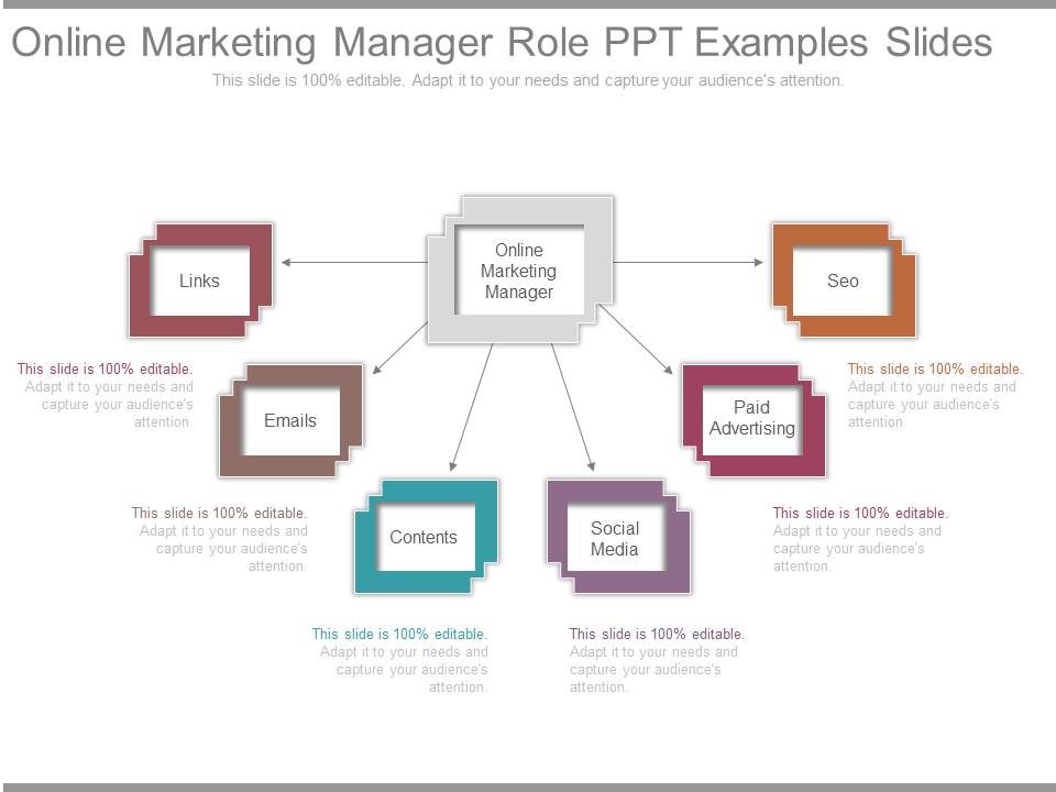 Online_Marketing_Manager_Role_Ppt_Examples_Slides_1.jpg