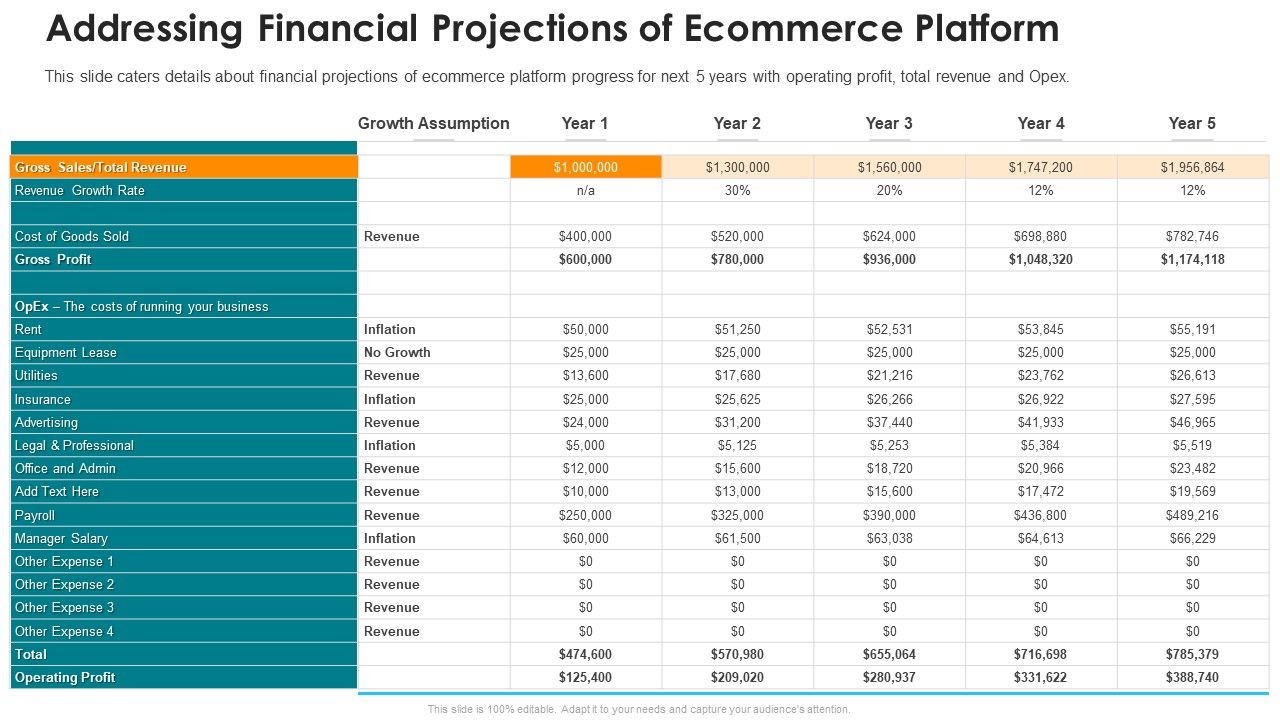 Online_Marketing_Platform_Addressing_Financial_Projections_Of_Ecommerce_Platform_Summary_PDF_Slide_1.jpg