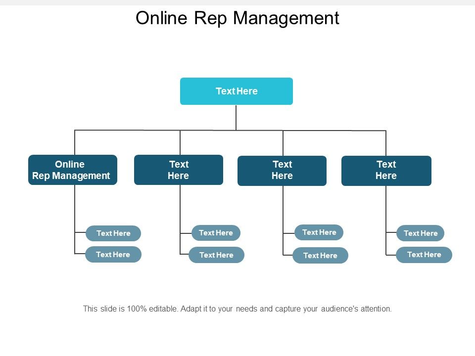 Online_Rep_Management_Ppt_PowerPoint_Presentation_Slides_Summary_Cpb_Slide_1.jpg