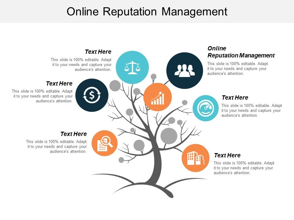 Online_Reputation_Management_Ppt_PowerPoint_Presentation_Ideas_Portfolio_Cpb_Slide_1.jpg