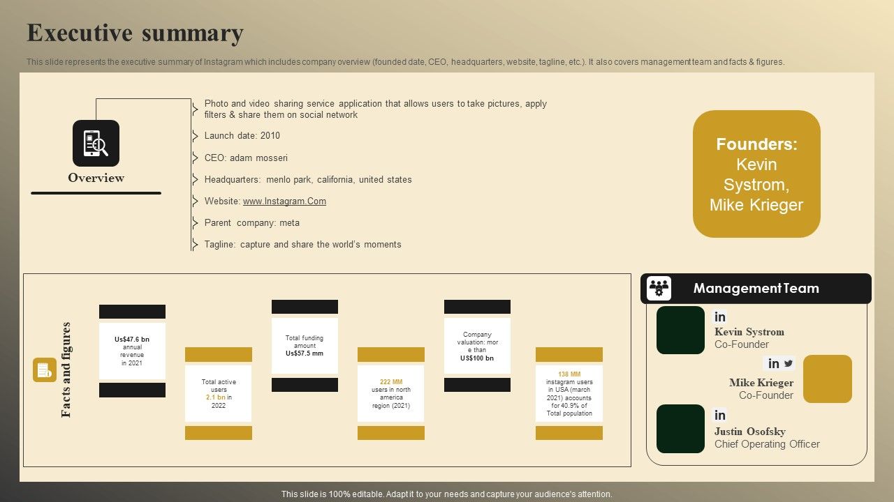 Online_Video_Model_Company_Profile_Executive_Summary_Background_PDF_Slide_1.jpg