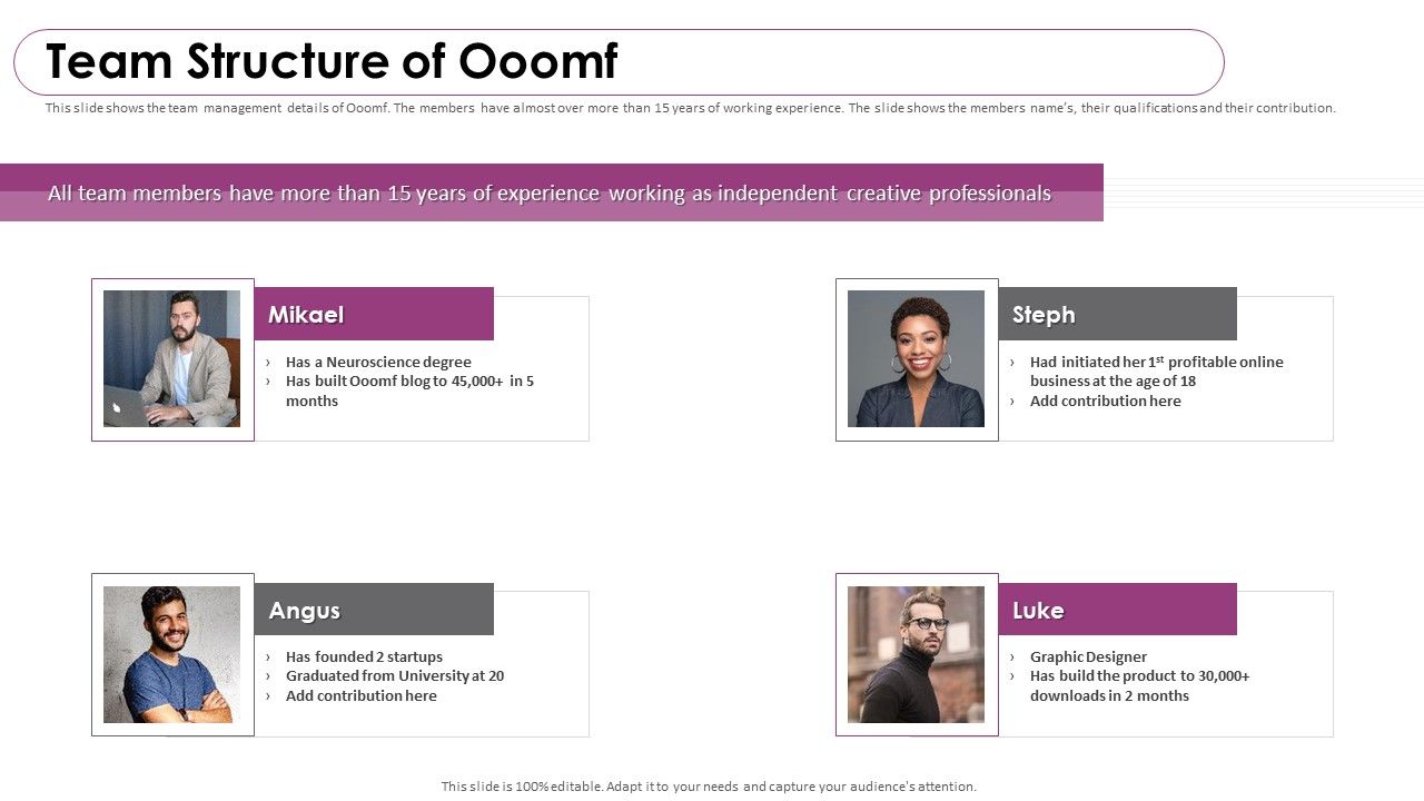 Ooomf_Now_Crew_Capital_Raising_Elevator_Pitch_Deck_Team_Structure_Of_Ooomf_Themes_PDF_Slide_1.jpg