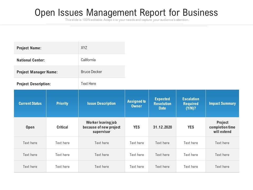 Open_Issues_Management_Report_For_Business_Ppt_PowerPoint_Presentation_File_Gallery_PDF_Slide_1.jpg
