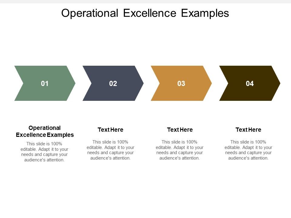 Operational_Excellence_Examples_Ppt_PowerPoint_Presentation_Picture_Cpb_Slide_1.jpg