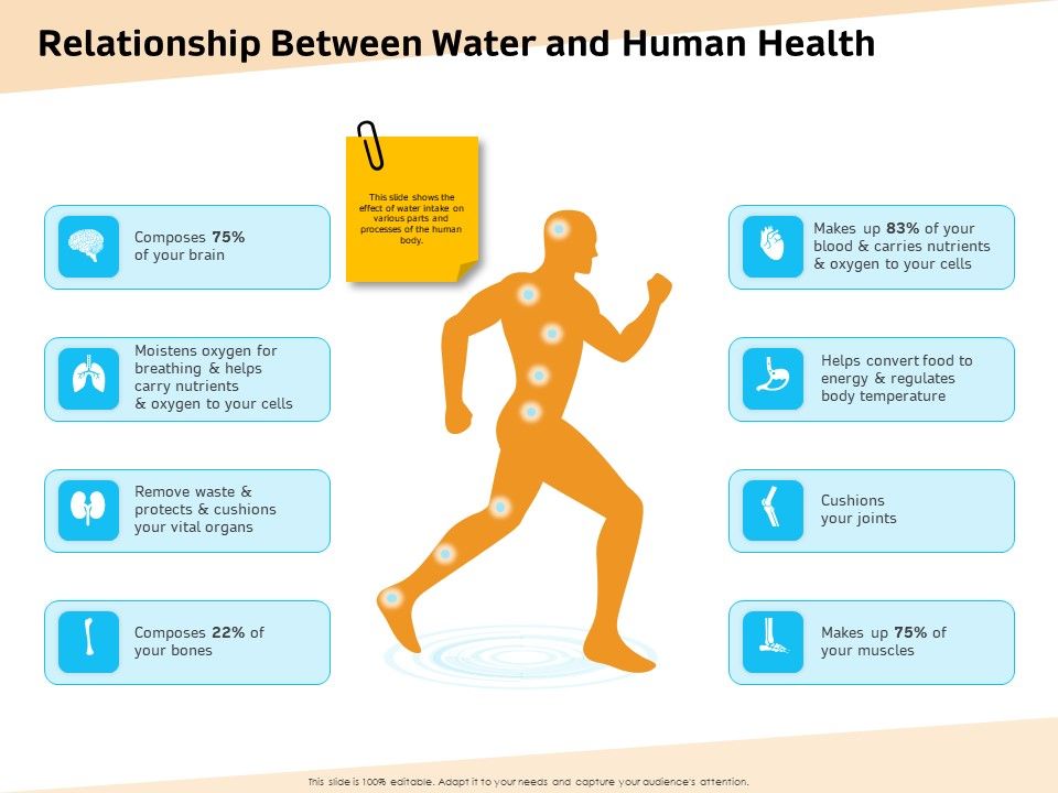 Optimization_Of_Water_Usage_Relationship_Between_Water_And_Human_Health_Ppt_Model_Slides_PDF_Slide_1.jpg