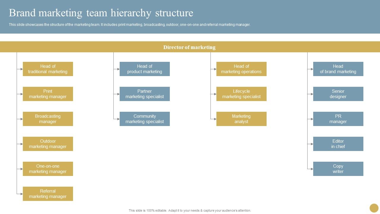 Optimizing_Traditional_Media_To_Boost_Sales_Brand_Marketing_Team_Hierarchy_Structure_Pictures_PDF_Slide_1.jpg