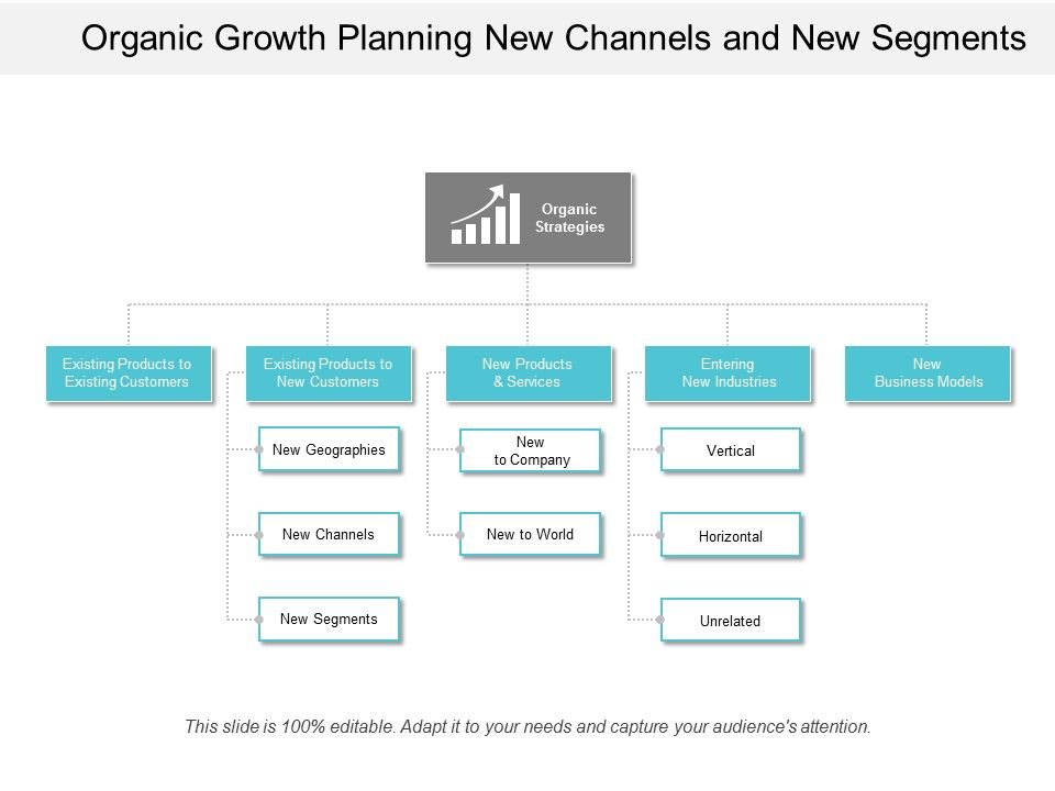 Organic_Growth_Planning_New_Channels_And_New_Segment_Ppt_PowerPoint_Presentation_Icon_Example_Introduction_Slide_1.jpg