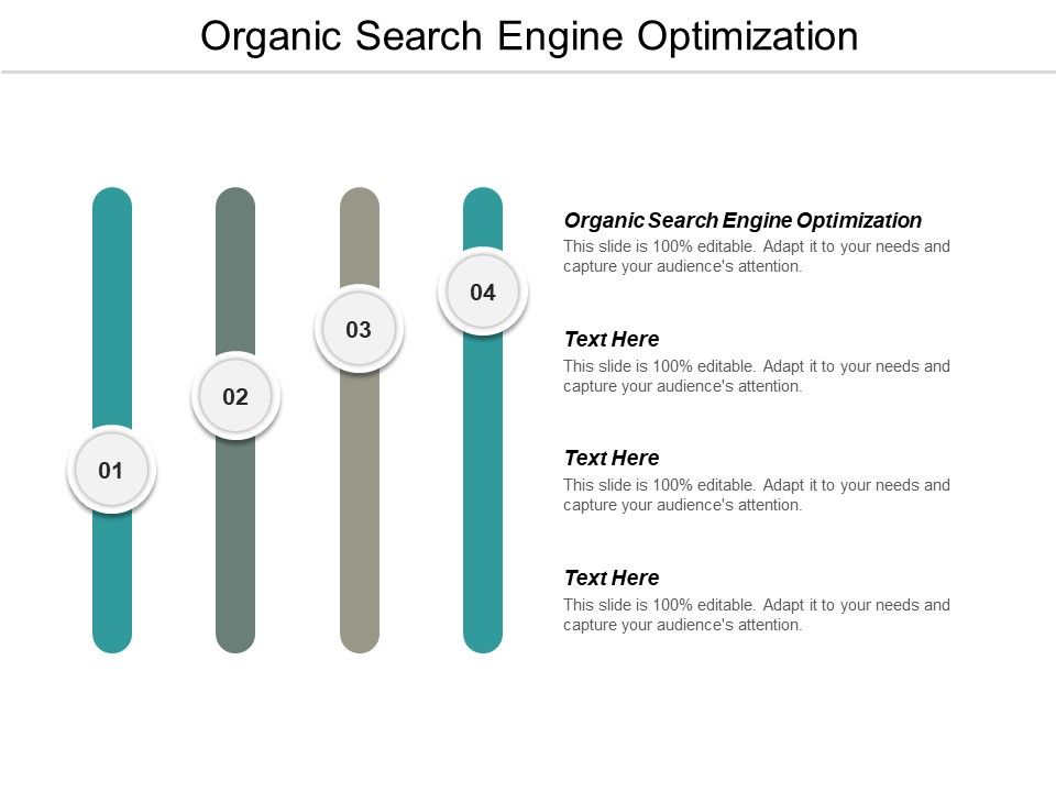 Organic_Search_Engine_Optimization_Ppt_PowerPoint_Presentation_Gallery_Example_Cpb_Slide_1.jpg