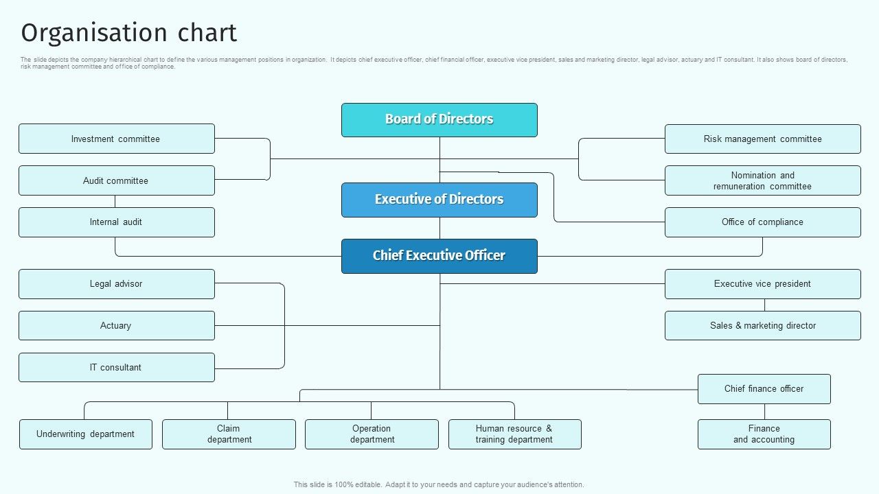 Organisation_Chart_Health_And_Property_Insurance_Company_Profile_Structure_PDF_Slide_1.jpg