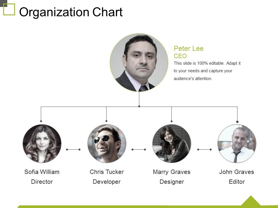 Organization_Chart_Ppt_PowerPoint_Presentation_File_Slide_Download_Slide_1.jpg