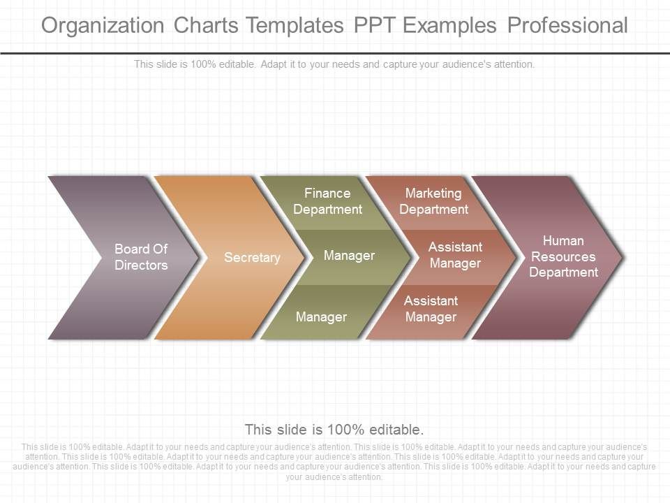 Organization_Charts_Templates_Ppt_Examples_Professional_1.jpg