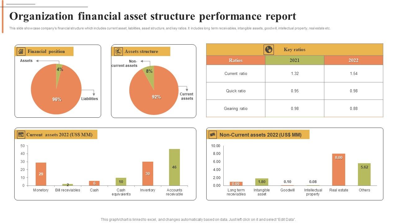 Organization_Financial_Asset_Structure_Performance_Report_Portrait_PDF_Slide_1.jpg
