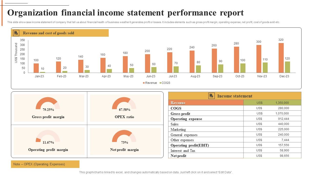 Organization_Financial_Income_Statement_Performance_Report_Structure_PDF_Slide_1.jpg