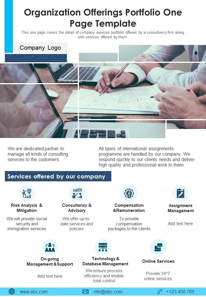 Organization Offerings Portfolio One Page Template PDF Document PPT Template Slide01