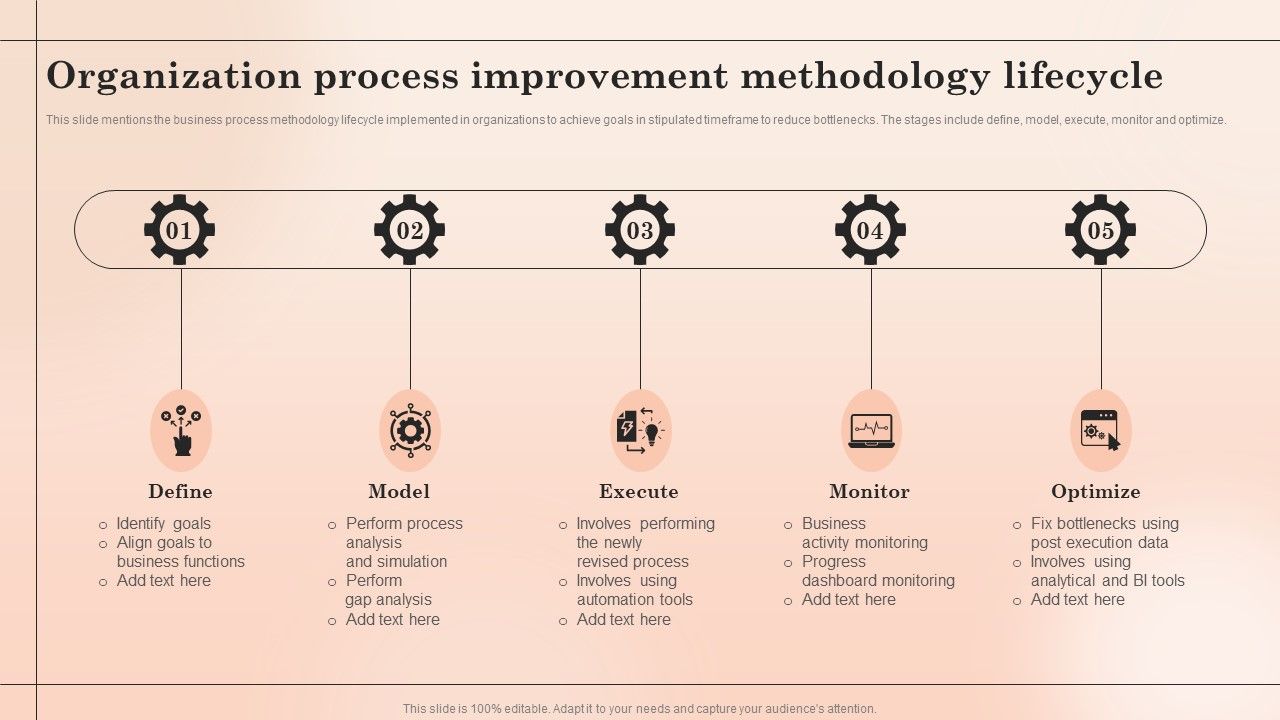 Organization_Process_Improvement_Methodology_Lifecycle_Summary_PDF_Slide_1.jpg