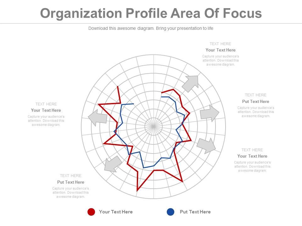 Organization_Profile_Area_Of_Focus_Ppt_Slides_1.jpg