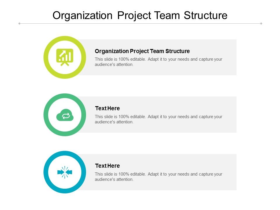 Organization_Project_Team_Structure_Ppt_PowerPoint_Presentation_Inspiration_Portfolio_Cpb_Slide_1.jpg