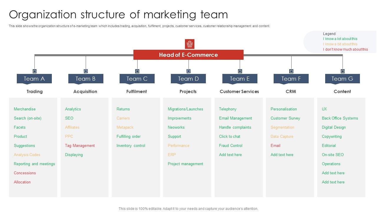 Organization_Structure_Of_Marketing_Team_Digital_Marketing_Strategy_Deployment_Professional_PDF_Slide_1.jpg