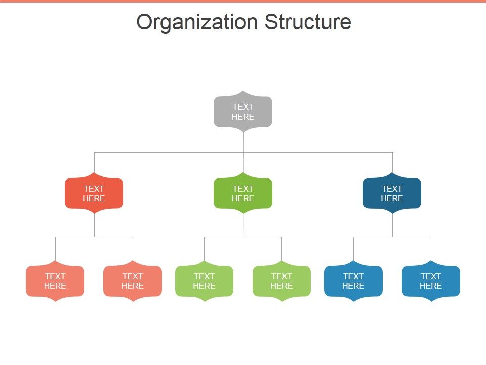 Organization_Structure_Ppt_PowerPoint_Presentation_File_Slide_Slide_1.jpg