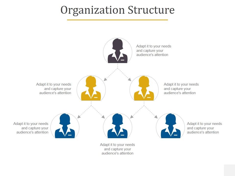 Organization_Structure_Ppt_PowerPoint_Presentation_Ideas_Master_Slide_Slide_1.jpg