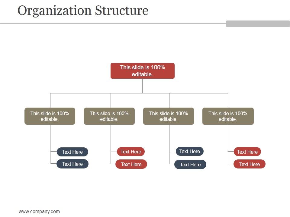 Organization_Structure_Ppt_PowerPoint_Presentation_Picture_Slide_1.jpg