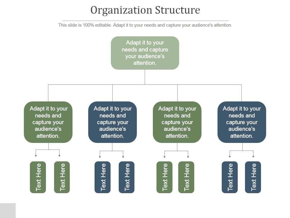 Organization_Structure_Ppt_PowerPoint_Presentation_Rules_Slide_1.jpg
