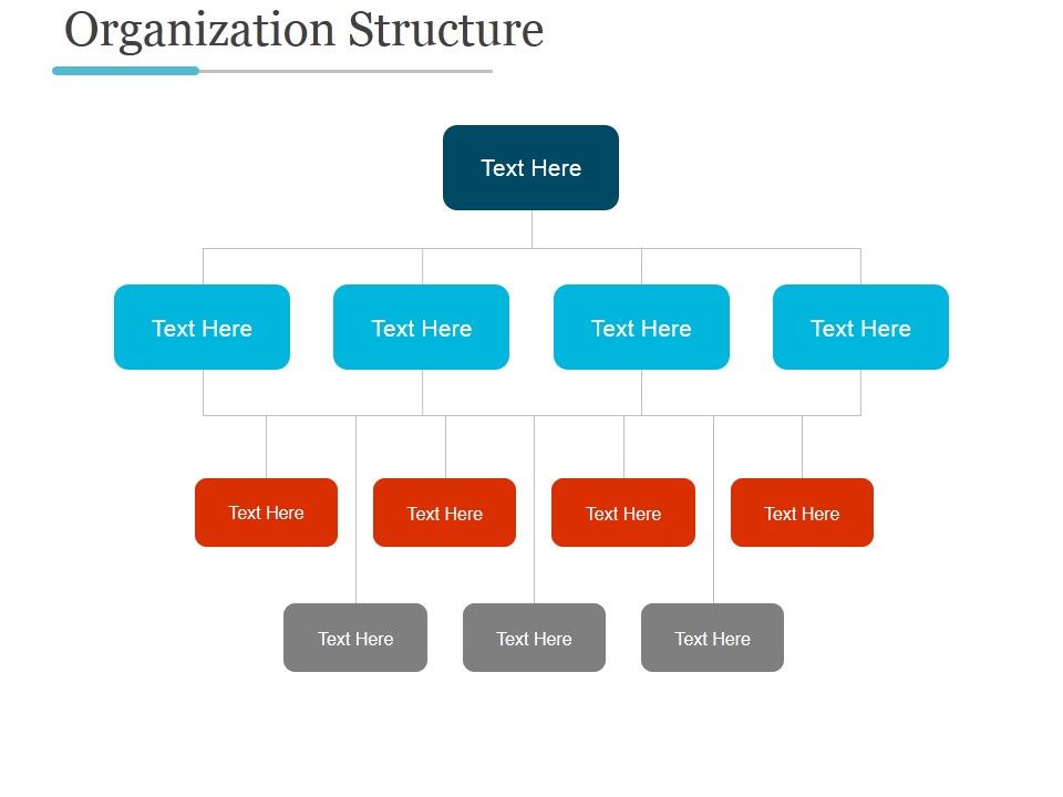 Organization_Structure_Ppt_PowerPoint_Presentation_Styles_Slide_1.jpg