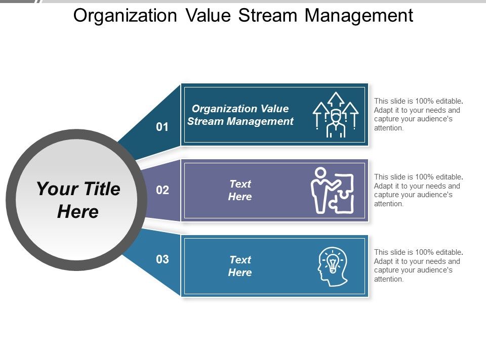 Organization_Value_Stream_Management_Ppt_PowerPoint_Presentation_Gallery_Graphics_Slide_1.jpg