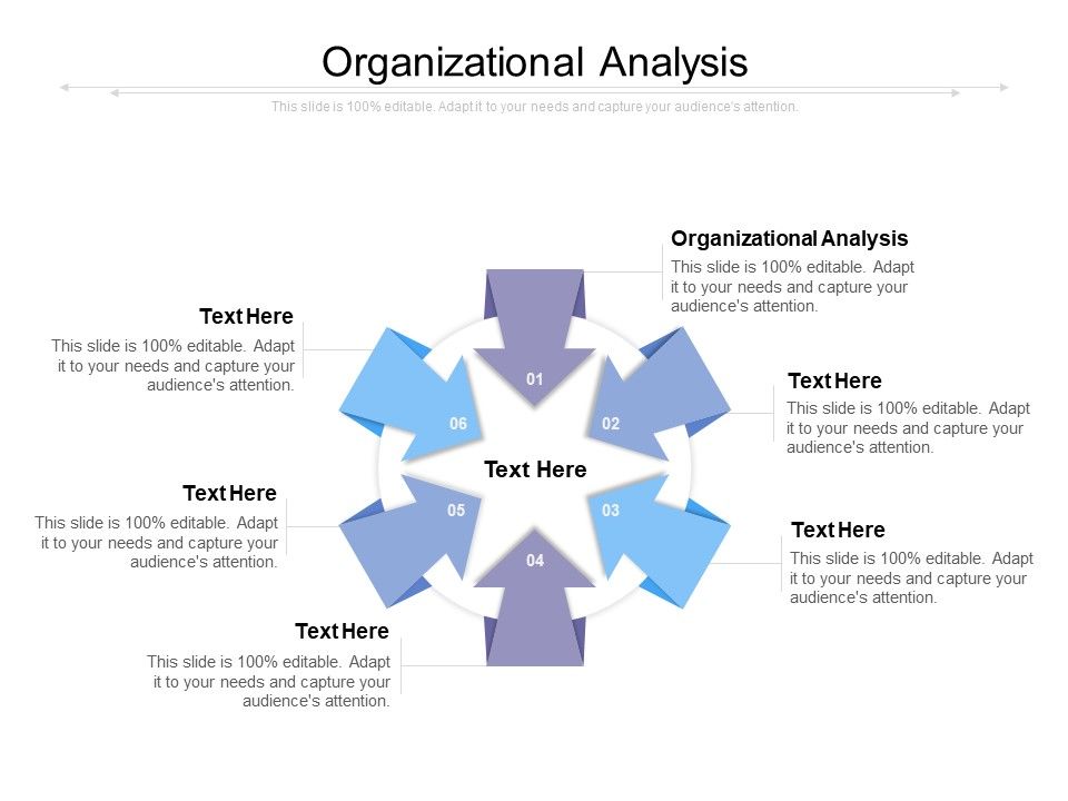 Organizational_Analysis_Ppt_PowerPoint_Presentation_Summary_Grid_Cpb_Slide_1.jpg