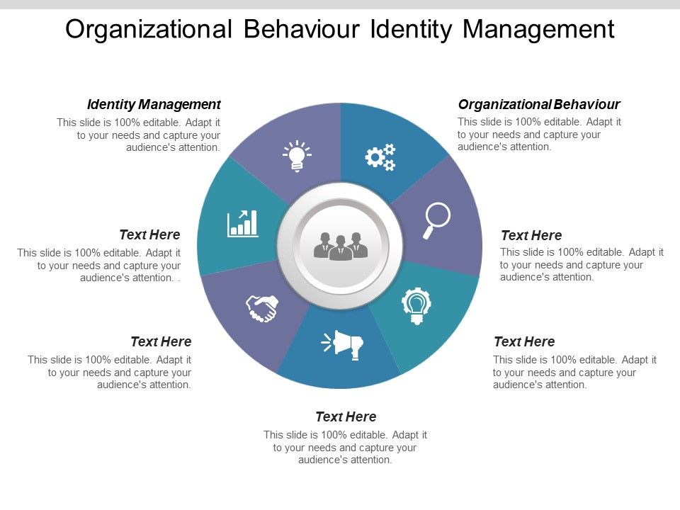 Organizational_Behaviour_Identity_Management_Ppt_PowerPoint_Presentation_Icon_Format_Ideas_Slide_1.jpg
