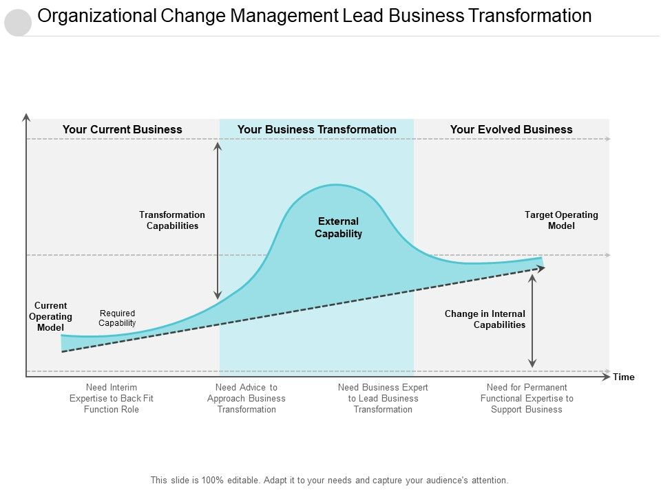 Organizational_Change_Management_Lead_Business_Transformation_Ppt_PowerPoint_Presentation_Layouts_Demonstration_Slide_1.jpg