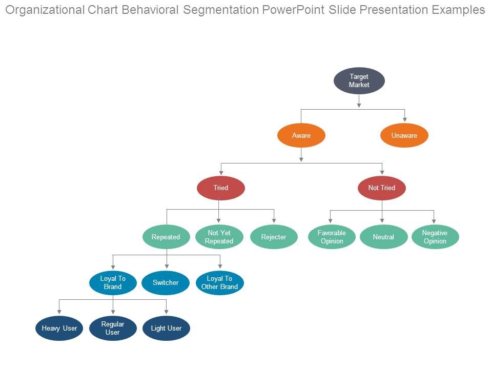 Organizational_Chart_Behavioral_Segmentation_Powerpoint_Slide_Presentation_Examples_1.jpg
