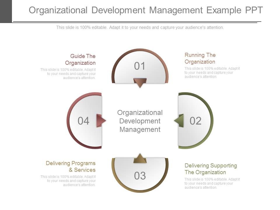 Organizational_Development_Management_Example_Ppt_1.jpg