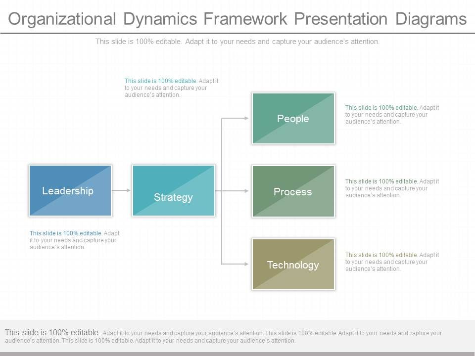 Organizational_Dynamics_Framework_Presentation_Diagrams_1.jpg