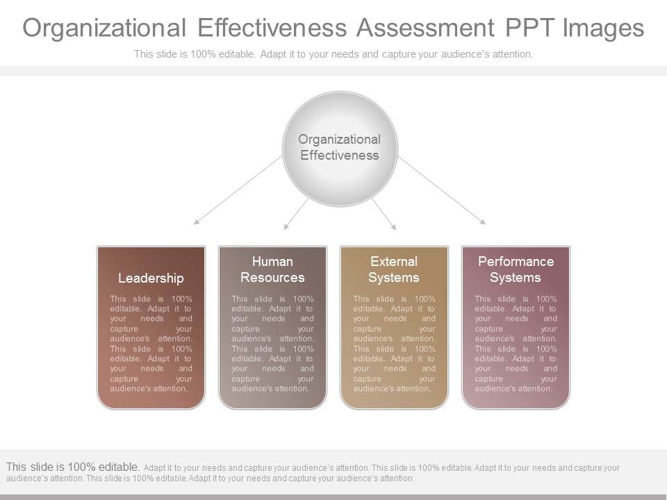 Organizational_Effectiveness_Assessment_Ppt_Images_1.jpg