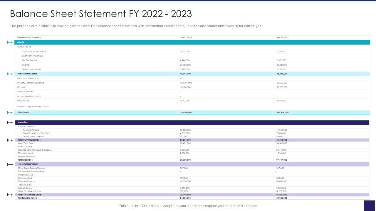 Organizational_Issue_Resolution_Tool_Balance_Sheet_Statement_Fy_2022_2023_Template_PDF_Slide_1.jpg
