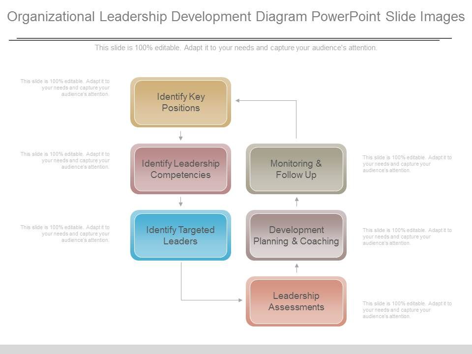 Organizational_Leadership_Development_Diagram_Powerpoint_Slide_Images_1.jpg