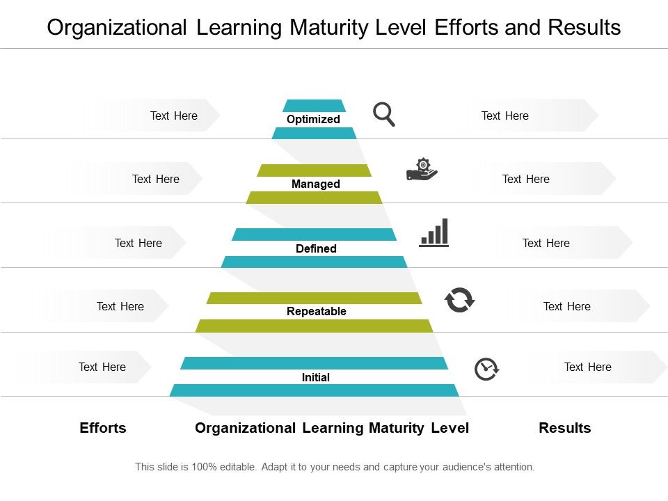 Organizational_Learning_Maturity_Level_Efforts_And_Results_Ppt_PowerPoint_Presentation_Ideas_Example_Topics_Slide_1.jpg
