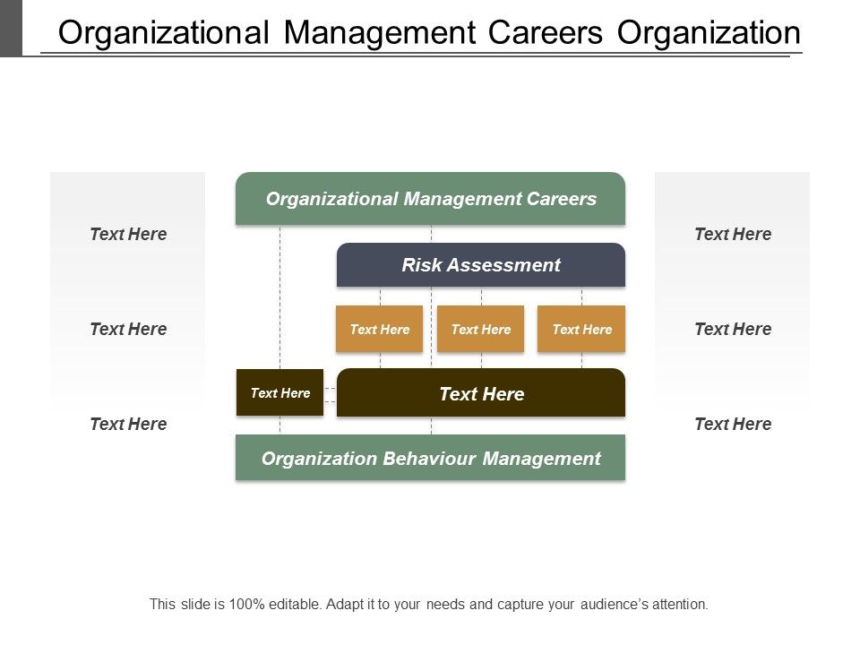 Organizational_Management_Careers_Organization_Behaviour_Management_Risk_Assessment_Ppt_PowerPoint_Presentation_Pictures_Slides_Slide_1.jpg
