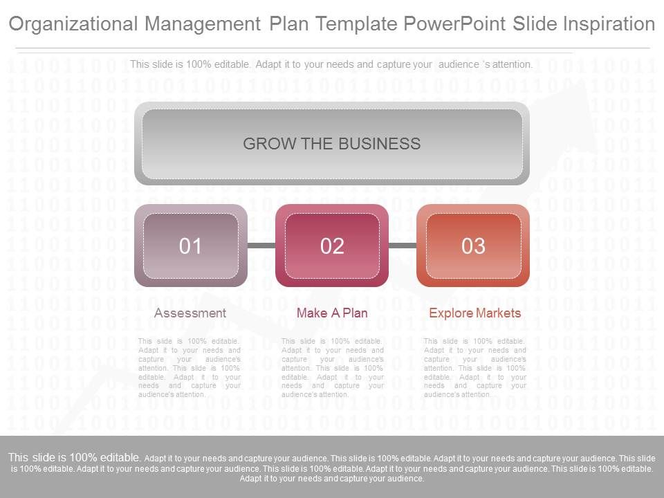 Organizational_Management_Plan_Template_Powerpoint_Slide_Inspiration_1.jpg
