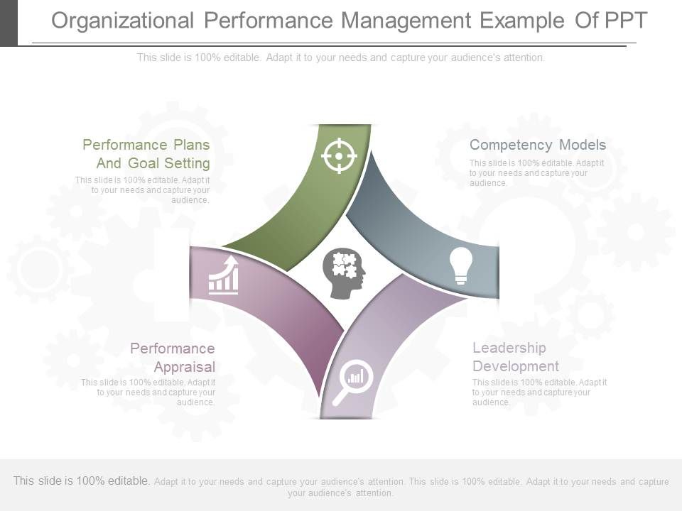 Organizational_Performance_Management_Example_Of_Ppt_1.jpg