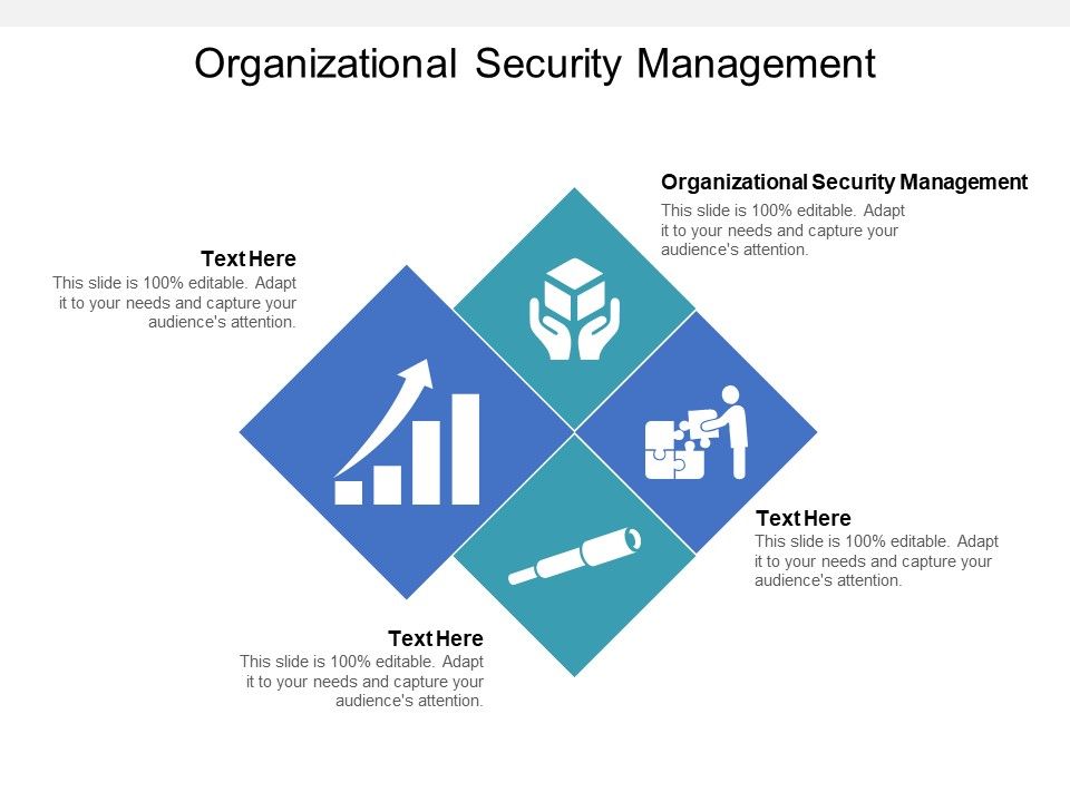 Organizational_Security_Management_Ppt_PowerPoint_Presentation_Gallery_Graphics_Template_Slide_1.jpg