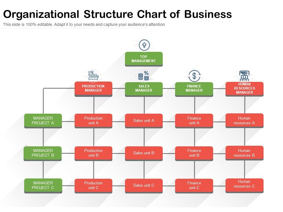 Organizational_Structure_Chart_Of_Business_Ppt_PowerPoint_Presentation_Infographics_Example_Topics_PDF_Slide_1.jpg